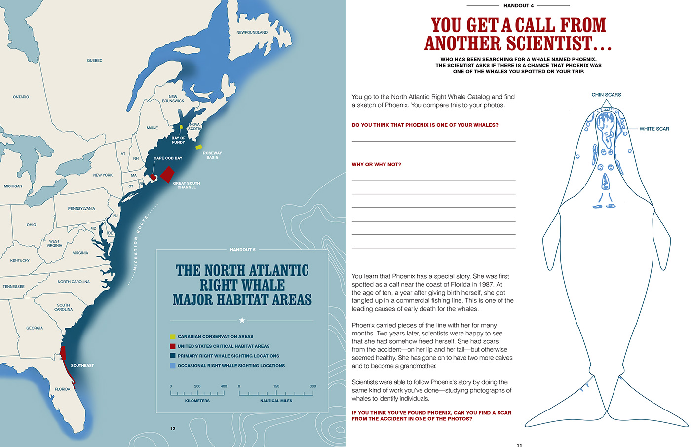 Inside spread of Smithsonian in Your Classroom: Tale of a Whale and Why It Can Be Told, showing a map of the US eastern coast and a worksheet for identifying parts of the whale.